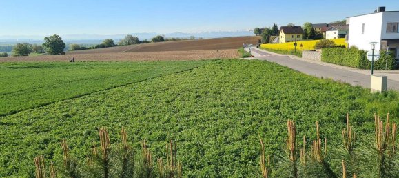 6 rooms Townhouse in Luftenberg an der Donau, Austria No. 136056 5