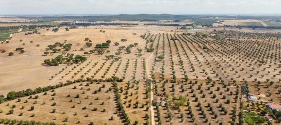 5 غرف نوم منزل في Igrejinha, Portugal رقم 177664 44