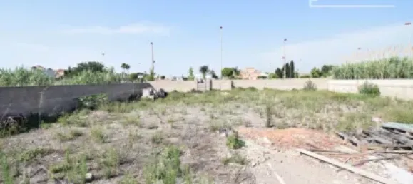  Land in Castellon, Spain No. 120943 42