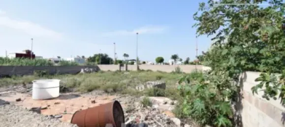  Land in Castellon, Spain No. 120943 45