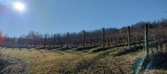 5 rooms House in Monleale, Italy No. 59459 4