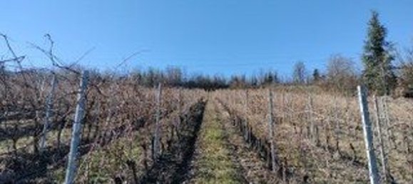 5 rooms House in Monleale, Italy No. 59459 5