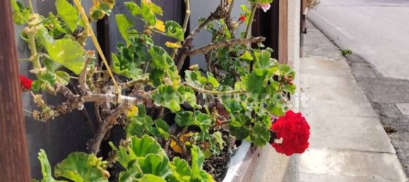 3 غرف نوم منزل في Limana, Italy رقم 357188 2