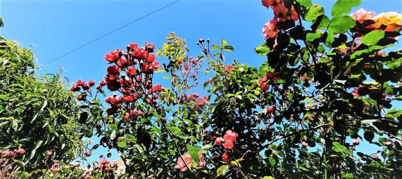 4 غرف نوم منزل في Vila Nova de Gaia, Portugal رقم 16320 7