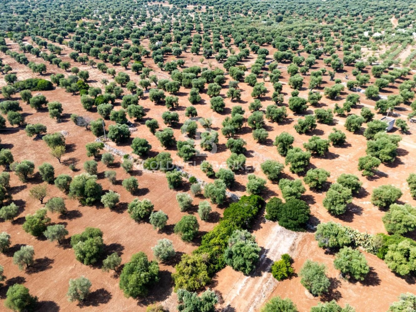 Grundstück in Ostuni, Italy, Nr. 328913