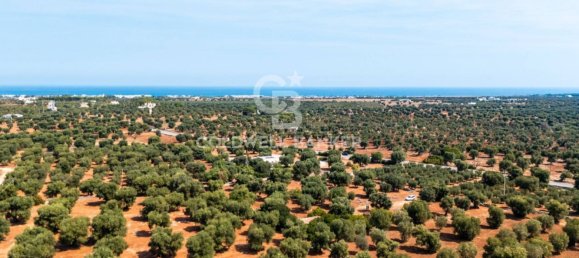 Terrain à Ostuni, Italy No. 328913 9