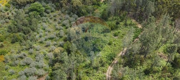  قطعة أرض في Serta, Portugal 4500متر مربع رقم 82897 11