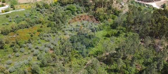  قطعة أرض في Serta, Portugal 4500متر مربع رقم 82897 9