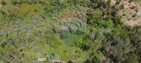  قطعة أرض في Serta, Portugal 4500متر مربع رقم 82897 6