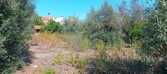 Дом с 5 спальнями в Tolosa, Португалия № 26163 24