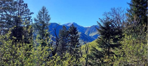 3 غرف نوم منزل في Garessio, Italy رقم 168671 37