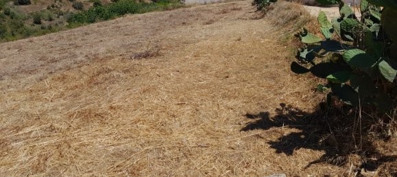  Land in Alcamo, Italy No. 311480 2