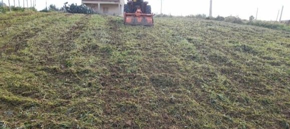  Land in Alcamo, Italy No. 311480 4