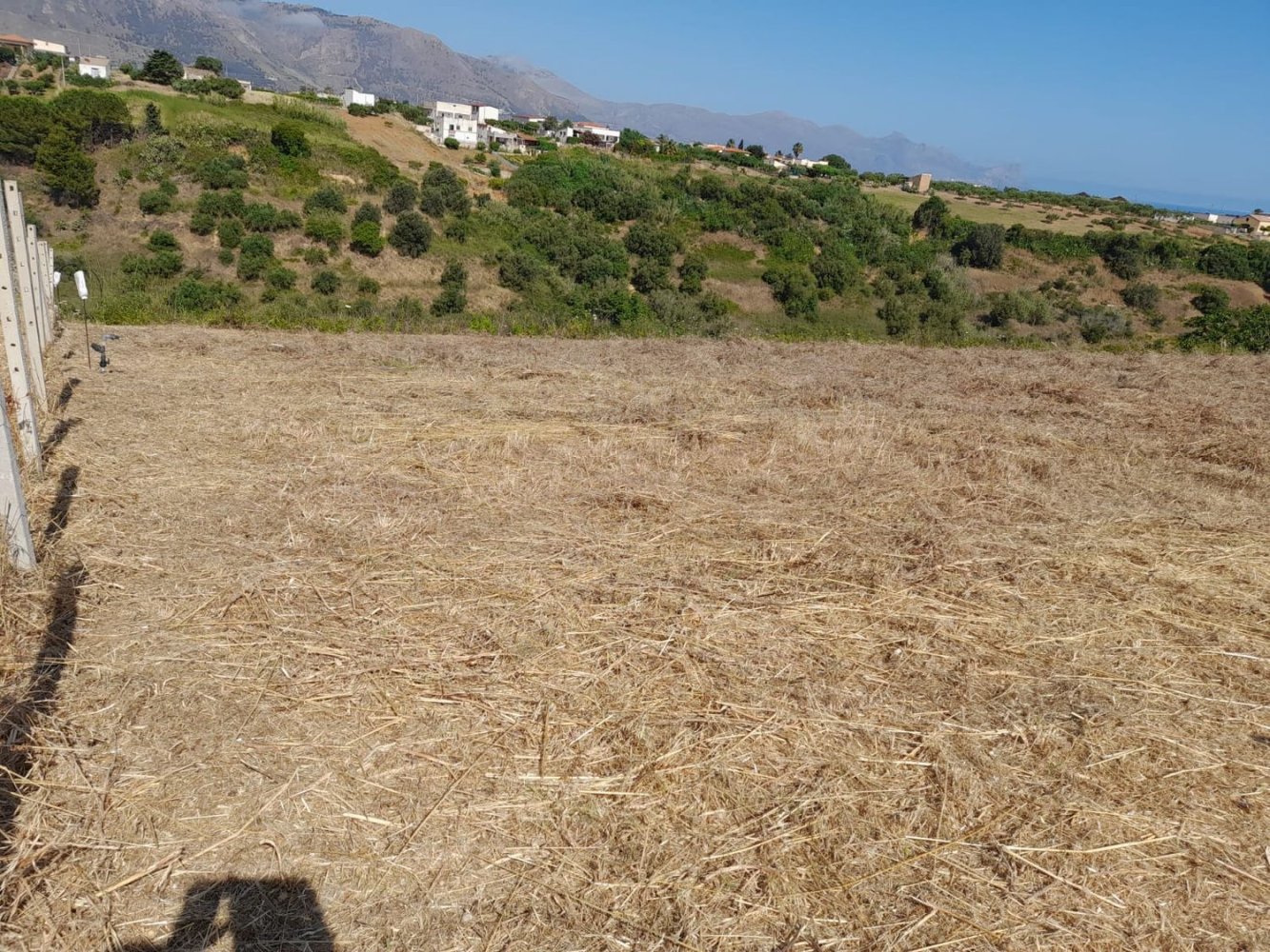  Land in Alcamo, Italy No. 311480