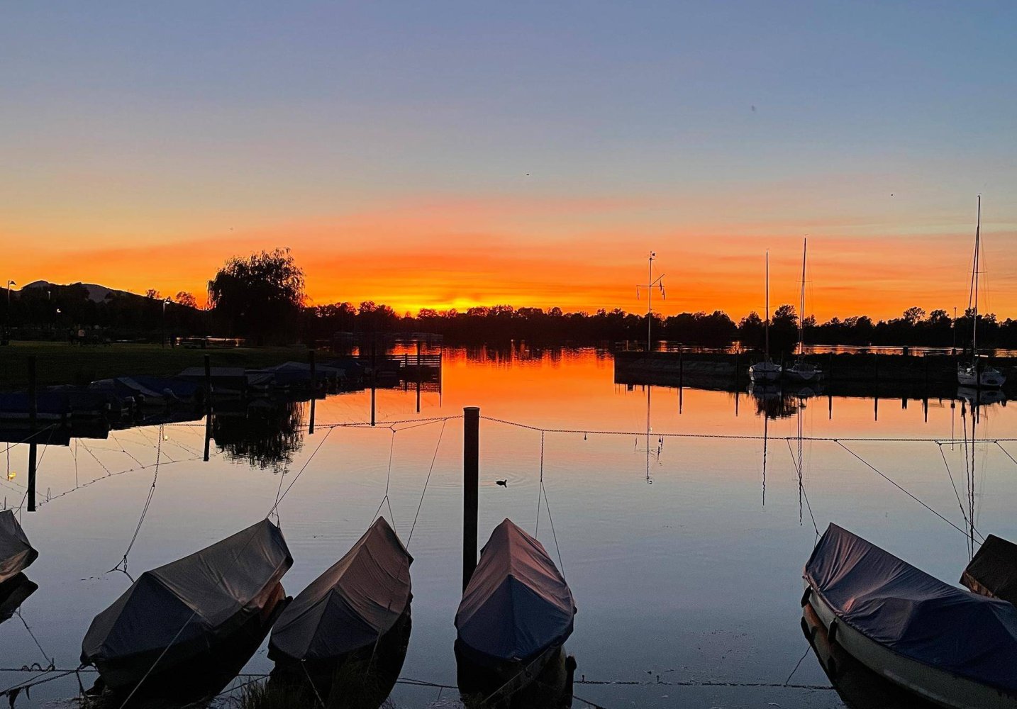 700m² Land in Hard, Austria No. 164152