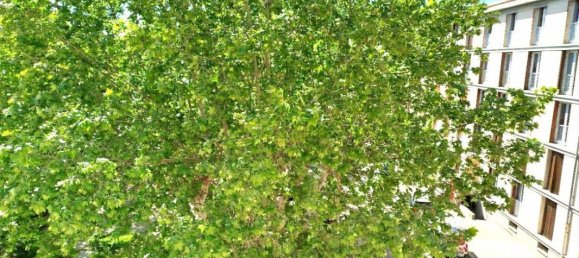 3 chambres Appartement à Salon-de-Provence, France No. 197100 12