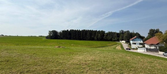 Terreno en Adlwang, Austria 961 m² No. 250605 4