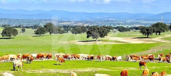 7 bedrooms House in Arronches, Portugal No. 146525 21