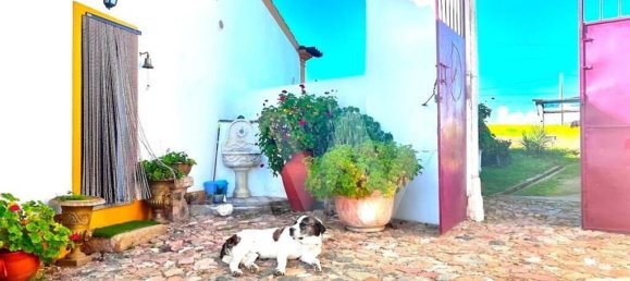 7 bedrooms House in Arronches, Portugal No. 146525 4