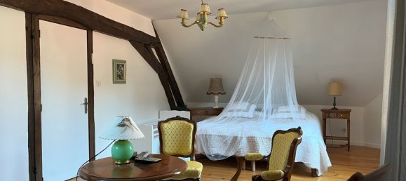 6 bedrooms House in Chatillon-sur-Loire, France No. 224218 11