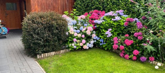 3 chambres Maison à Ammerland, Germany No. 242213 4