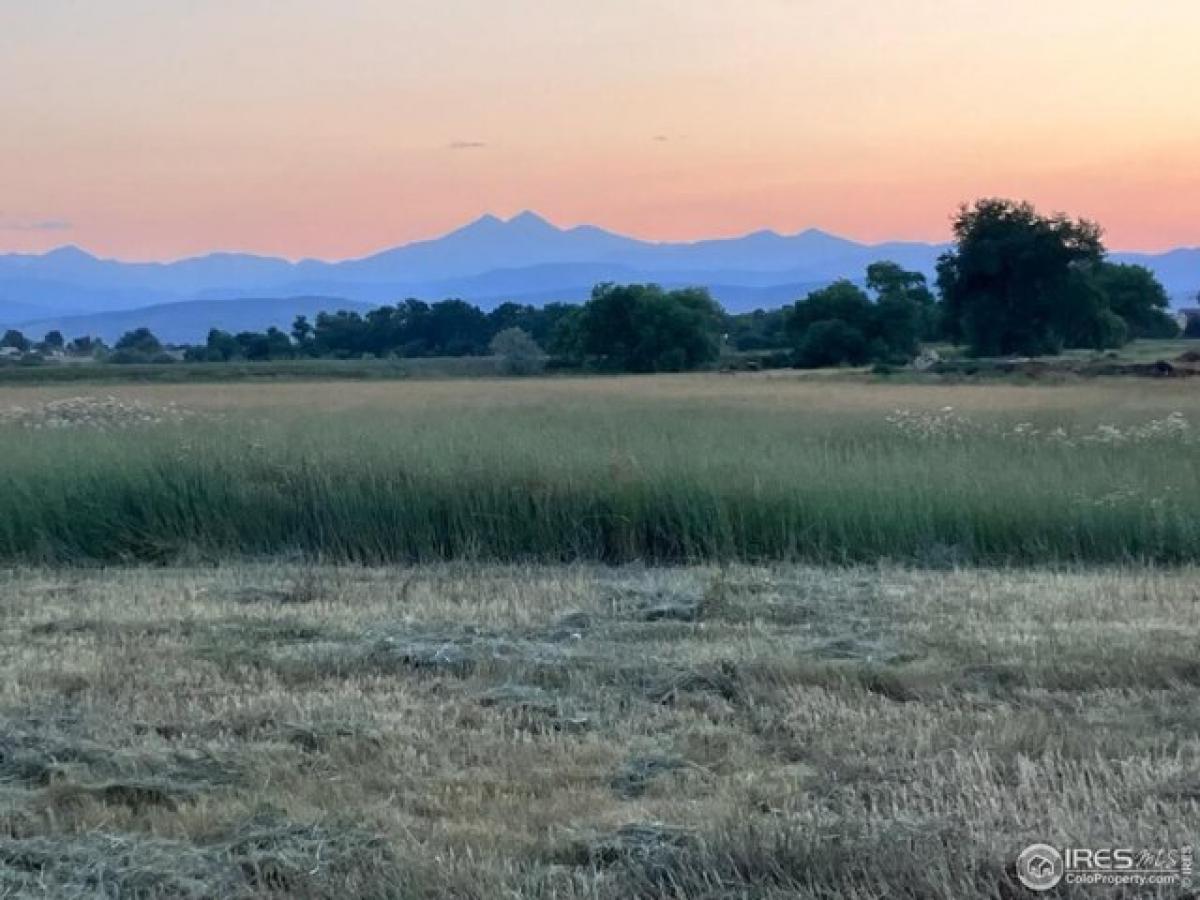 3 Schlafzimmer Haus in Longmont, USA, Nr. 417942
