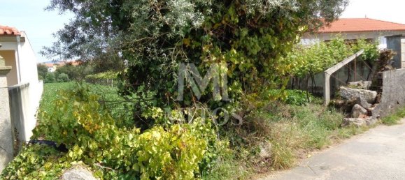 1130m² Land in Viana do Castelo, Portugal No. 81726 6