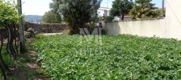 1130m² Land in Viana do Castelo, Portugal No. 81726 3