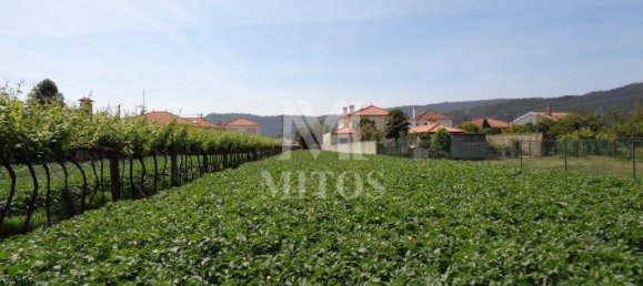 1130m² Land in Viana do Castelo, Portugal No. 81726 4