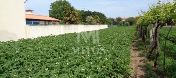 1130m² Land in Viana do Castelo, Portugal No. 81726 2