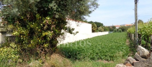 1130m² Land in Viana do Castelo, Portugal No. 81726 5