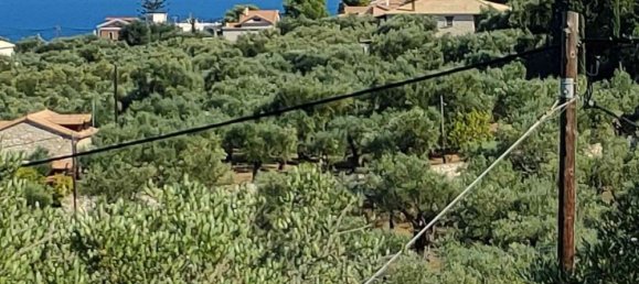  فندق في Zakynthos, Greece رقم 8532 6