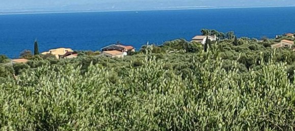  فندق في Zakynthos, Greece رقم 8532 5