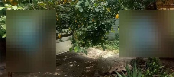 6 غرف نوم شقة في Monterotondo, Italy رقم 324147 3