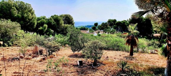 Земельный участок в Морайра, Испания № 92167 2