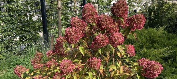 7-salle Maison de ville à Pfaffenhofen an der Ilm, Germany No. 335552 25