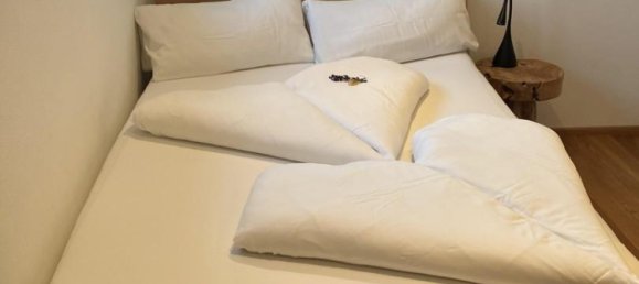 7-salle Maison de ville à Pfaffenhofen an der Ilm, Germany No. 335552 21