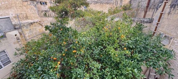 4 chambres Maison à Zebbug, Malta No. 2754 10