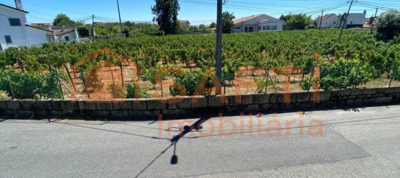 2 bedrooms House in Lajeosa do Dao, Portugal No. 211257 36