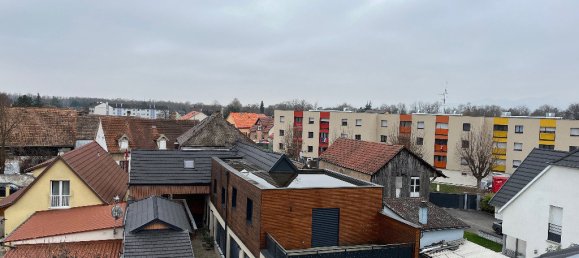 Apartamento de 2 dormitorios en Horbourg-Wihr, France No. 46301 16