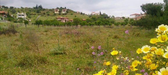 Отель, гостиница 2040м² в Халкидики, Греция № 7868 3