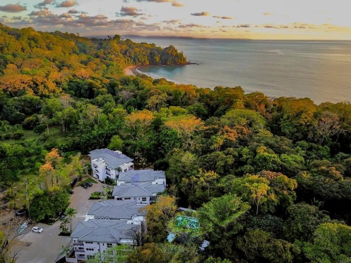 2 bedrooms Condo in Puerto Jimenez, Costa Rica No. 136