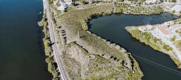 6 bedrooms Castles in Peso da Regua, Portugal No. 115824 16