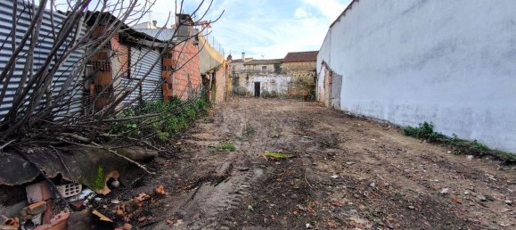 Studio in Paialvo, Portugal, Nr. 30451 13