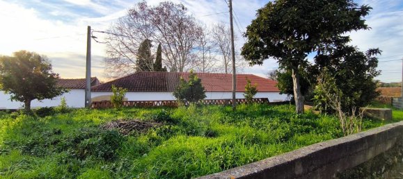 Studio in Paialvo, Portugal, Nr. 30451 6