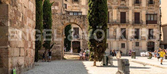  عقار تجاري في Ciutat Vella, Spain 155متر مربع رقم 149802 11