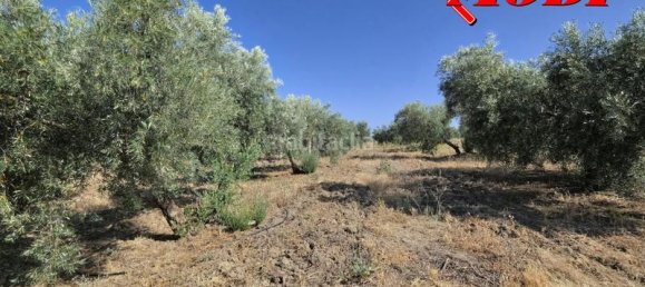 Terreno en Granada, Spain 84202 m² No. 163751 36