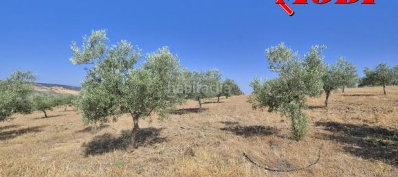 Terreno en Granada, Spain 84202 m² No. 163751 23