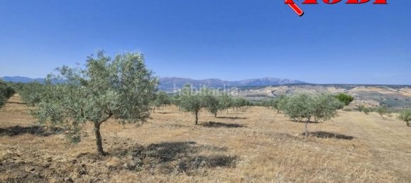 Terreno en Granada, Spain 84202 m² No. 163751 35