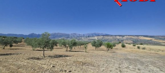 Terreno en Granada, Spain 84202 m² No. 163751 44